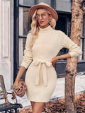 Romildi Turtleneck Solid Dress, Casual Simple Long Sleeve Mini Dress, Women's Clothing