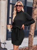 Romildi Turtleneck Solid Dress, Casual Simple Long Sleeve Mini Dress, Women's Clothing
