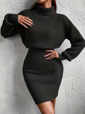 Romildi Turtleneck Sweater Dress, Casual Solid Long Sleeve Bodycon Dress, Women's Clothing