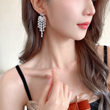 2025 Long modified face shape shows face thin earrings temperament high sense fashion elegant temperament bright zircon fringed earrings