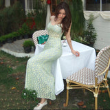 2025 style 2025 spring new women's clothing thin fishtail skirt slim temperament celebrity lace dress