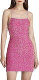 2025 Popularan beautiful women's shiny velvet bead sequins low round neck tight dress short pom-pom dress
