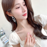 2025 Luxury heavy industry high-end earrings wholesale long zircon water drop earrings dress bride socialite noble temperament earrings