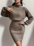 Romildi Turtleneck Sweater Dress, Casual Solid Long Sleeve Bodycon Dress, Women's Clothing