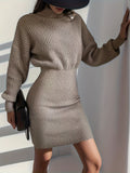 Romildi Turtleneck Sweater Dress, Casual Solid Long Sleeve Bodycon Dress, Women's Clothing