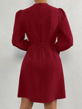 Romildi Tucked Solid Dress, Elegant Mock Neck Lantern Sleeve Dress, Women's Clothing