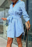 rRomildi Casual Simplicity Solid Pocket Shirt Collar Shirt Dress Dresses(3 Colors)